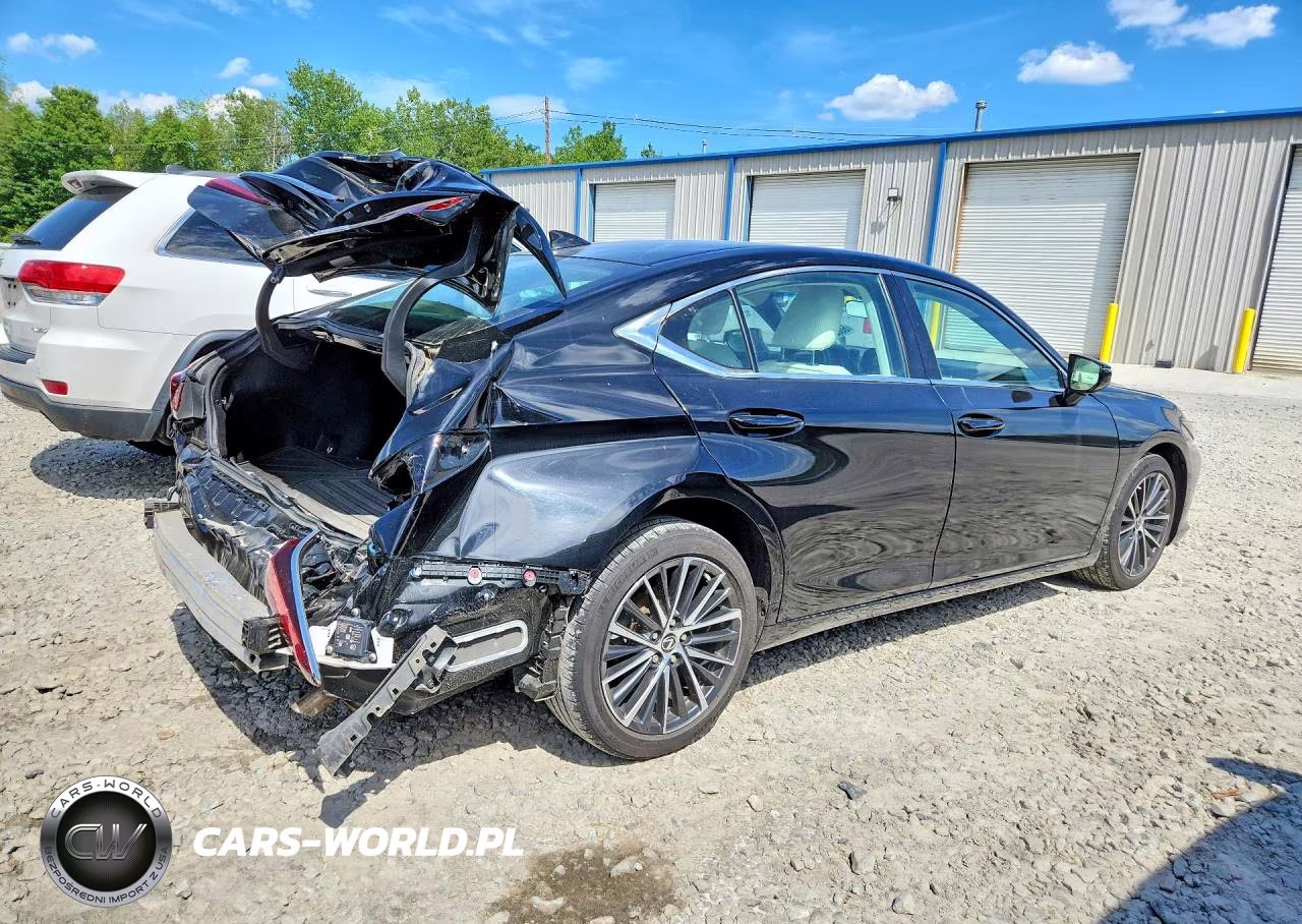 2022 Lexus Es 250 Base VIN:58AD11D16NU009202 - 3