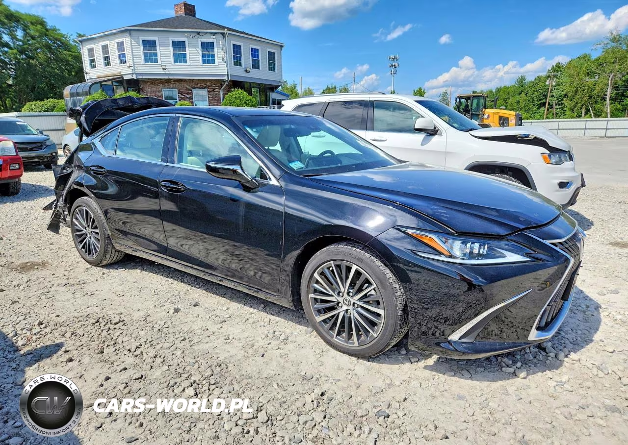2022 Lexus Es 250 Base VIN:58AD11D16NU009202 - 4