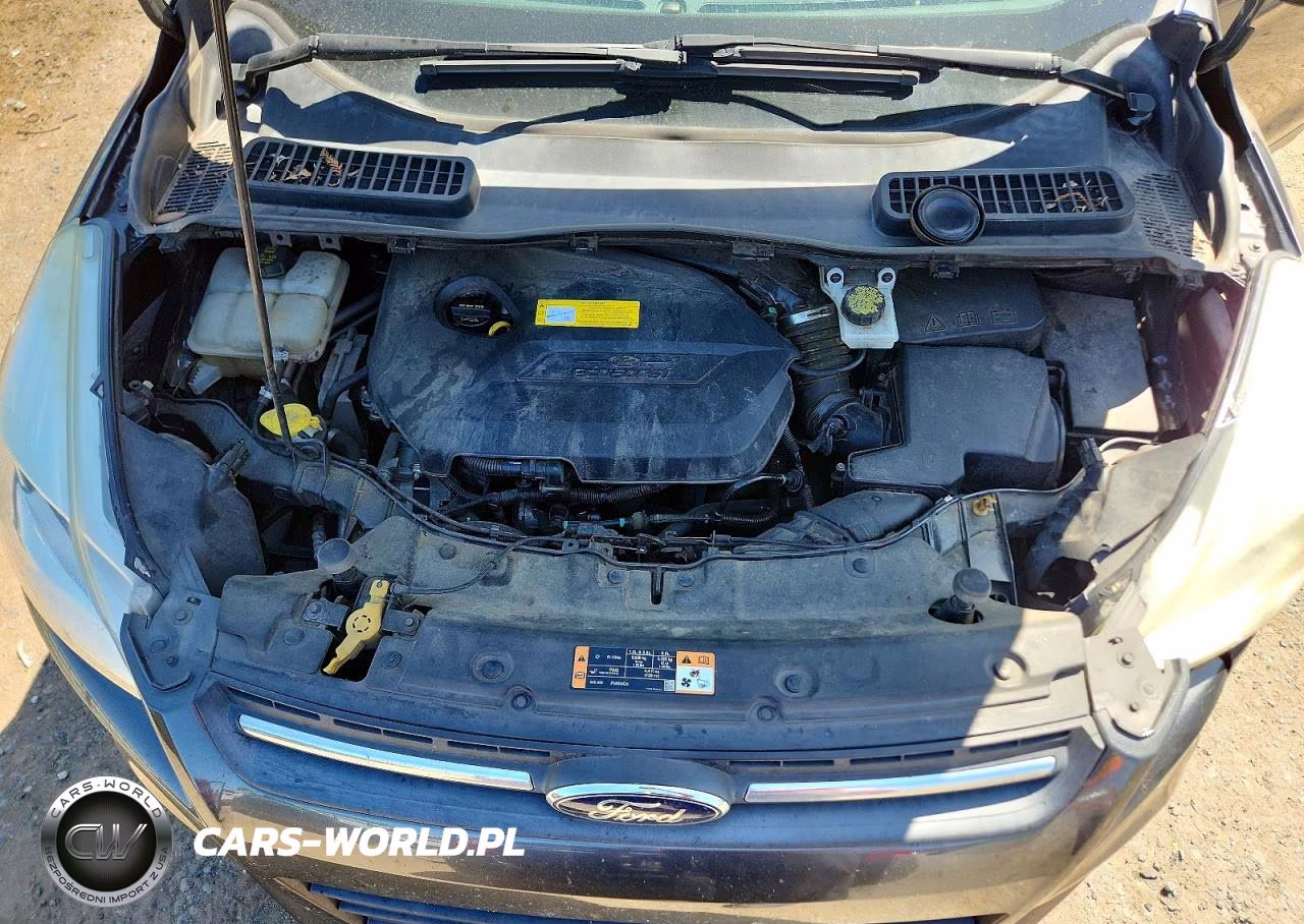 2016 Ford Escape Se VIN:1FMCU0GX5GUC05591 - 11