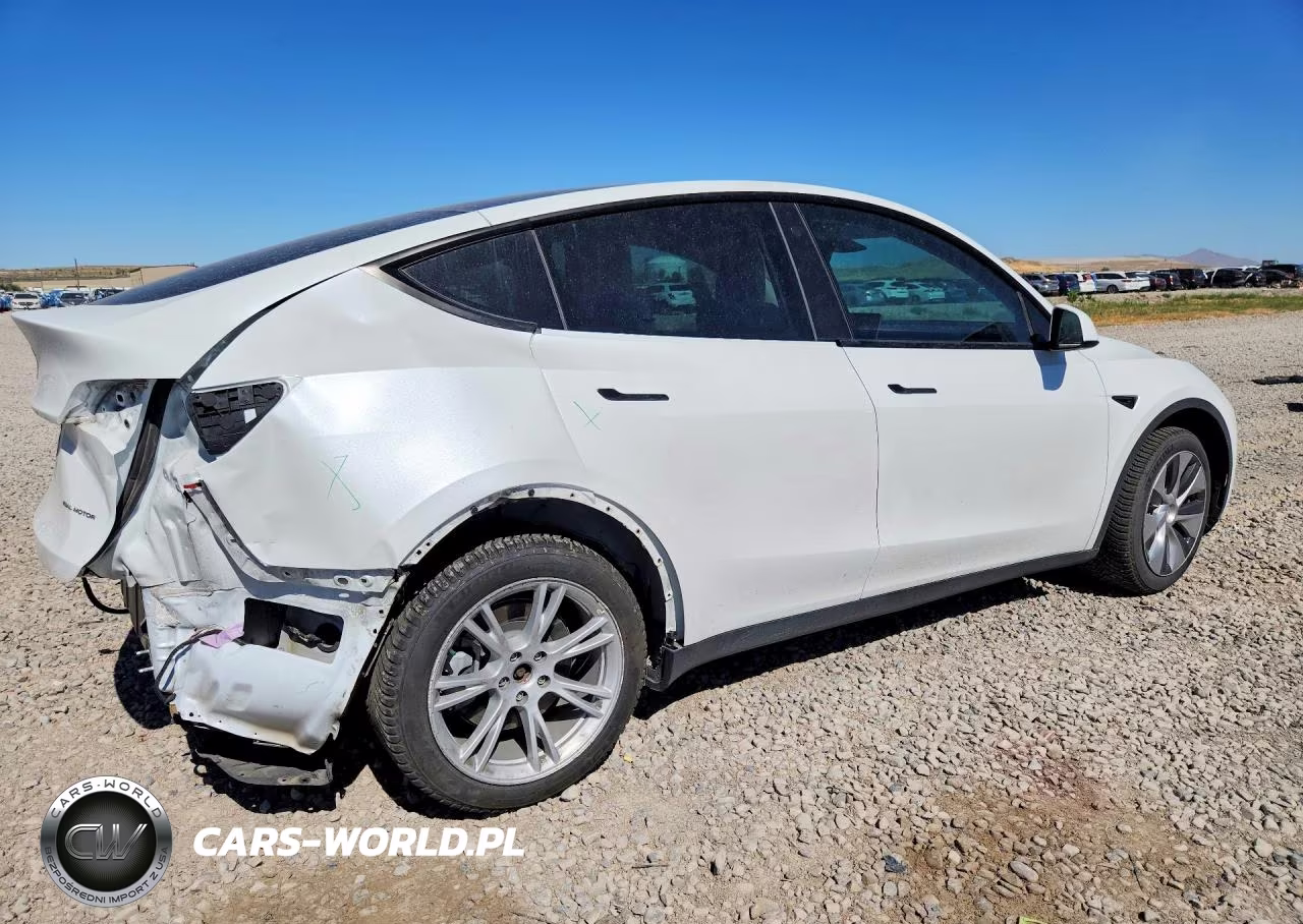 2022 Tesla Model Y VIN:7SAYGDEE1NF523145 - 3