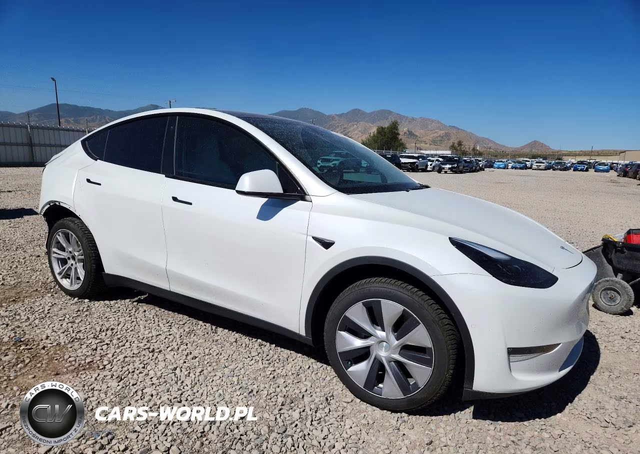 2022 Tesla Model Y VIN:7SAYGDEE1NF523145 - 4