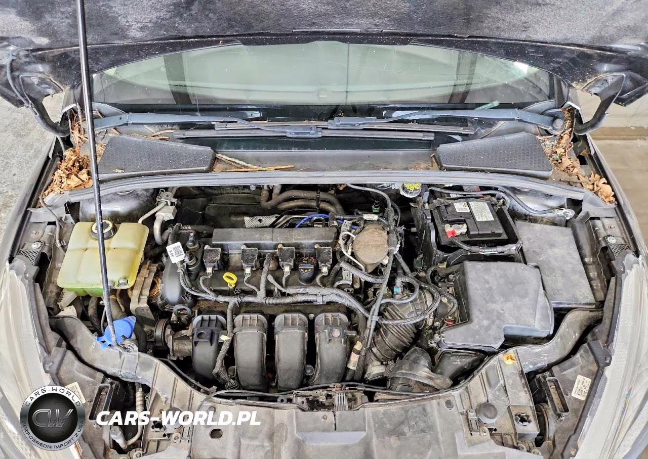 2015 Ford Focus Se VIN:1FADP3F28FL373047 - 11