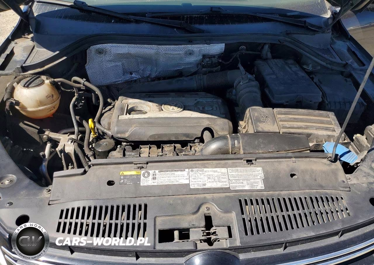 2015 Volkswagen Tiguan S VIN:WVGBV7AXXFW504555 - 11