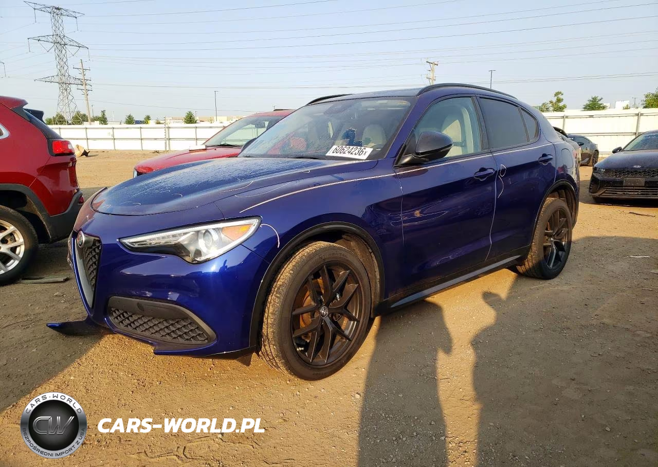 2020 Alfa Romeo Stelvio VIN:ZASPAKAN7L7C83100 - 1