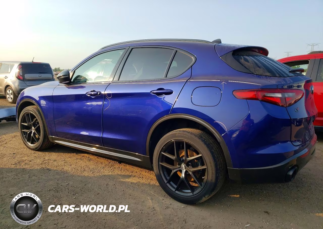 2020 Alfa Romeo Stelvio VIN:ZASPAKAN7L7C83100 - 2