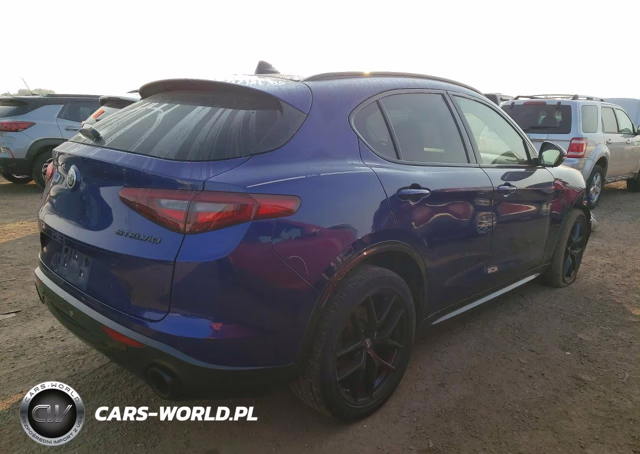 2020 Alfa Romeo Stelvio VIN:ZASPAKAN7L7C83100 - 3