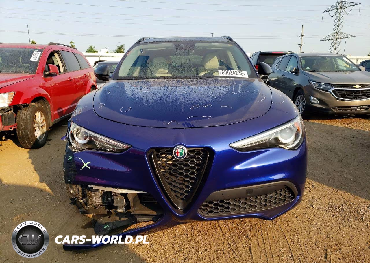 2020 Alfa Romeo Stelvio VIN:ZASPAKAN7L7C83100 - 5