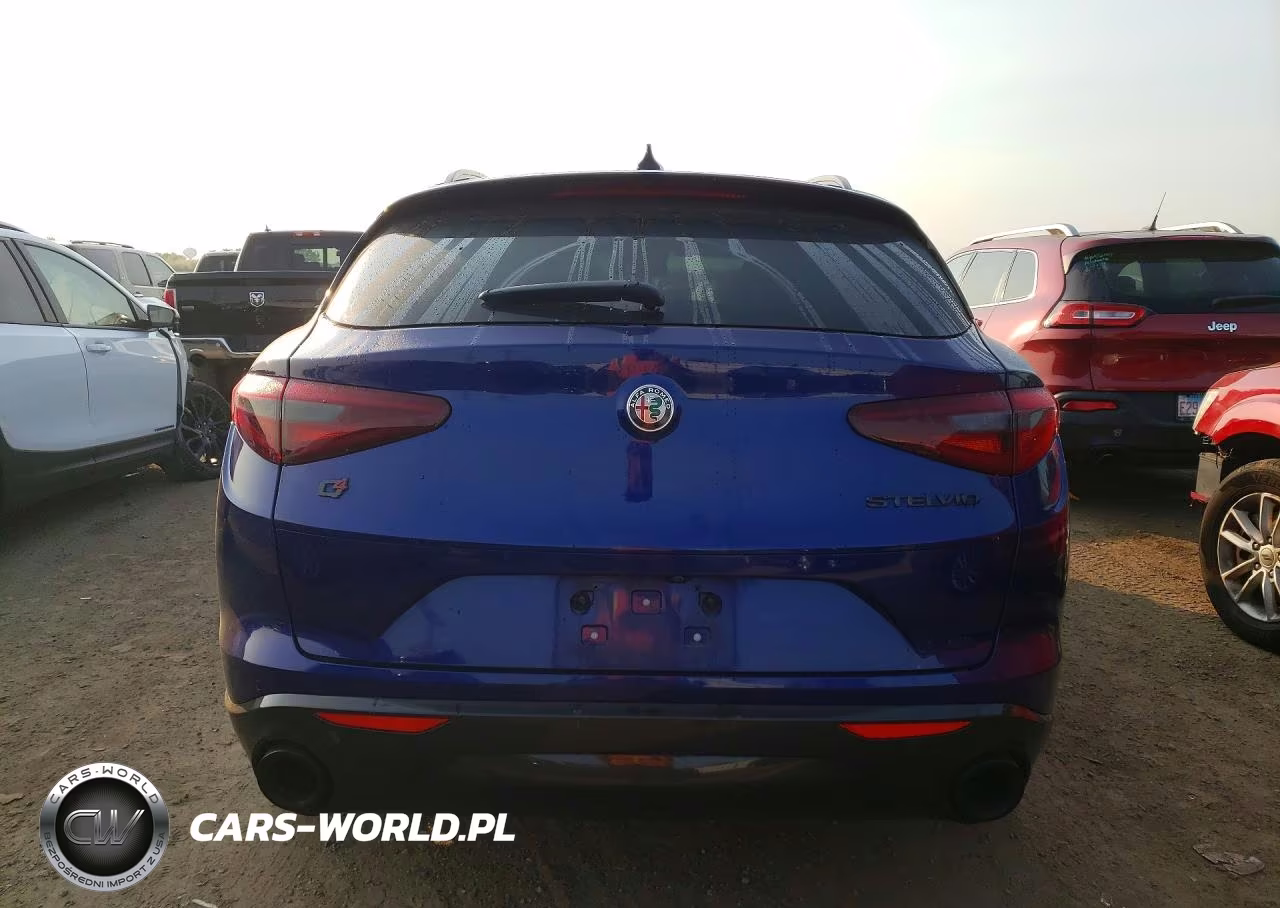 2020 Alfa Romeo Stelvio VIN:ZASPAKAN7L7C83100 - 6