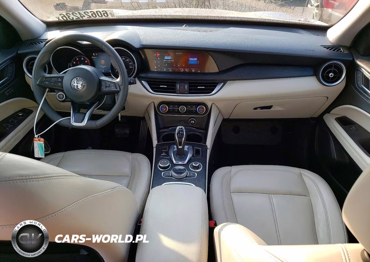 2020 Alfa Romeo Stelvio VIN:ZASPAKAN7L7C83100 - 8