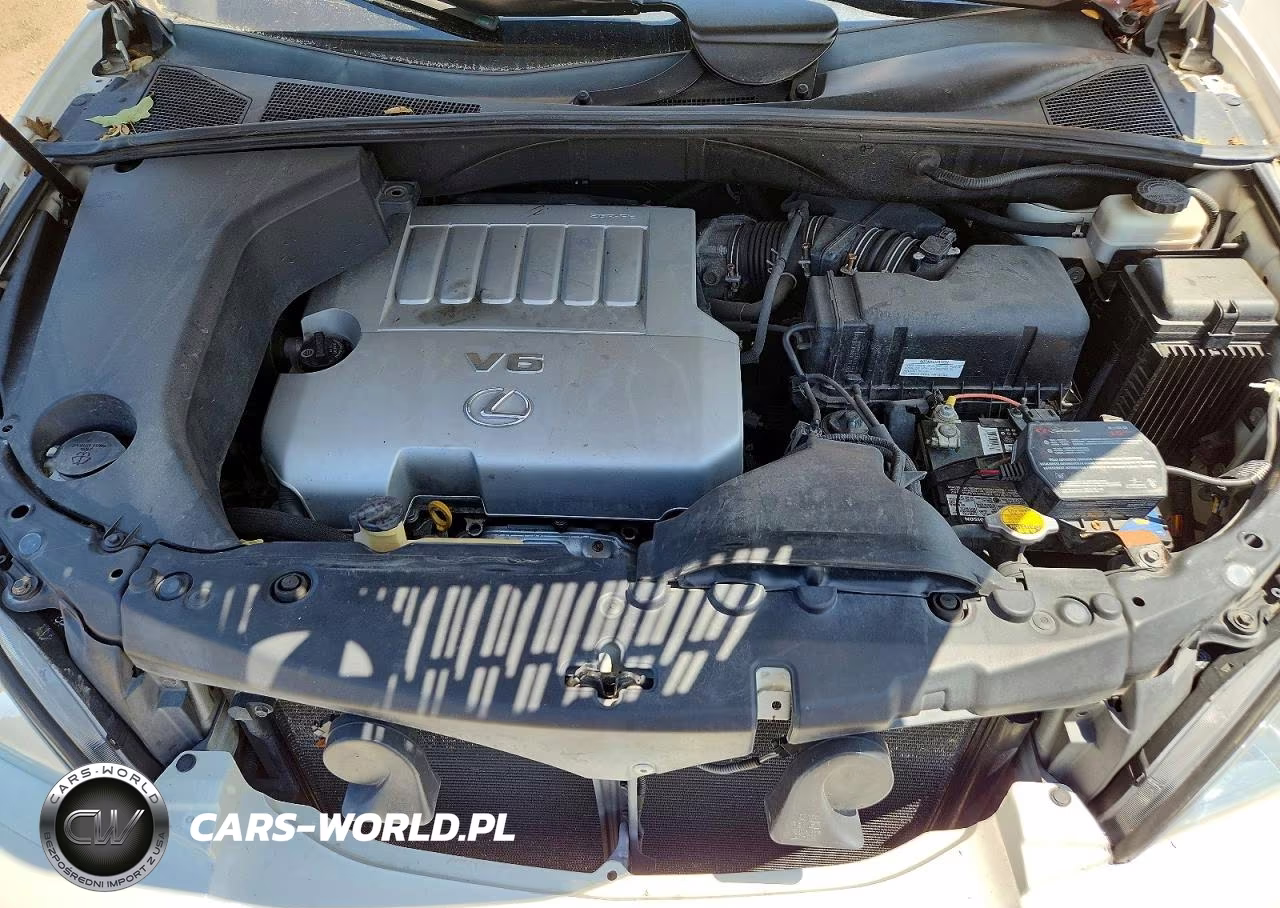 2007 Lexus Rx 350 VIN:2T2HK31U97C026785 - 12