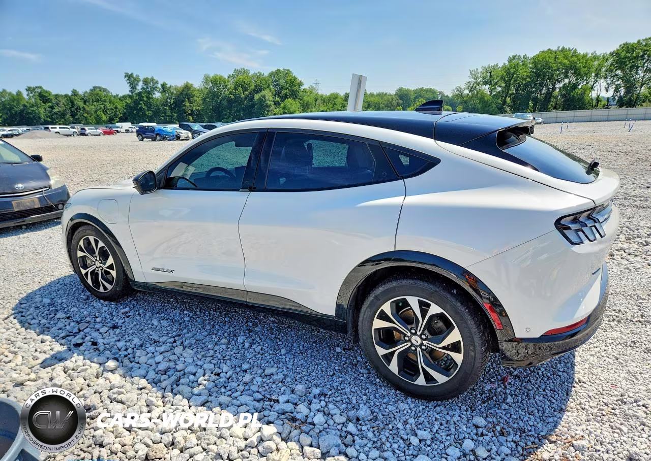 2021 Ford Mustang Mach-E Premium VIN:3FMTK3SUXMMA03222 - 2