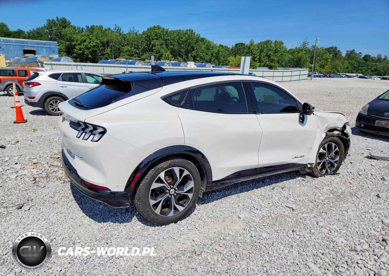 2021 Ford Mustang Mach-E Premium VIN:3FMTK3SUXMMA03222 - 3