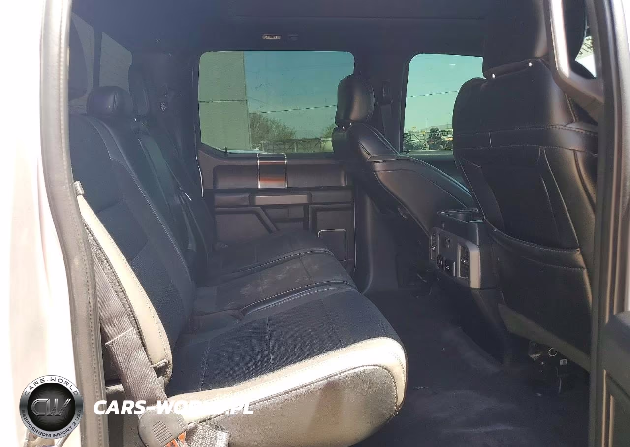 2019 Ford F150 Raptor VIN:1FTFW1RGXKFA80356 - 10
