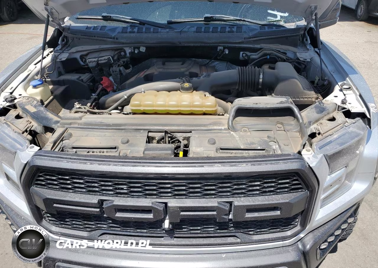 2019 Ford F150 Raptor VIN:1FTFW1RGXKFA80356 - 11