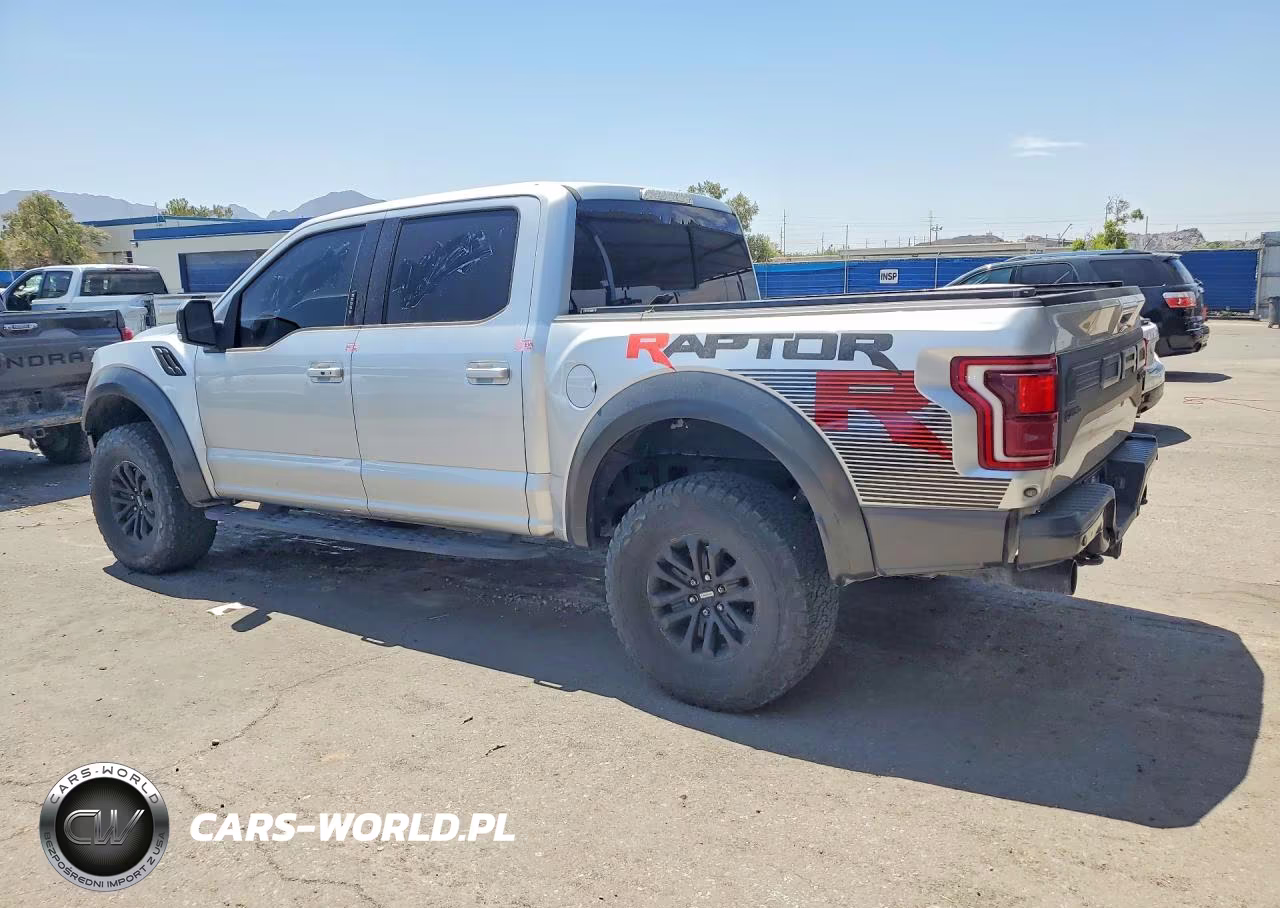 2019 Ford F150 Raptor VIN:1FTFW1RGXKFA80356 - 2