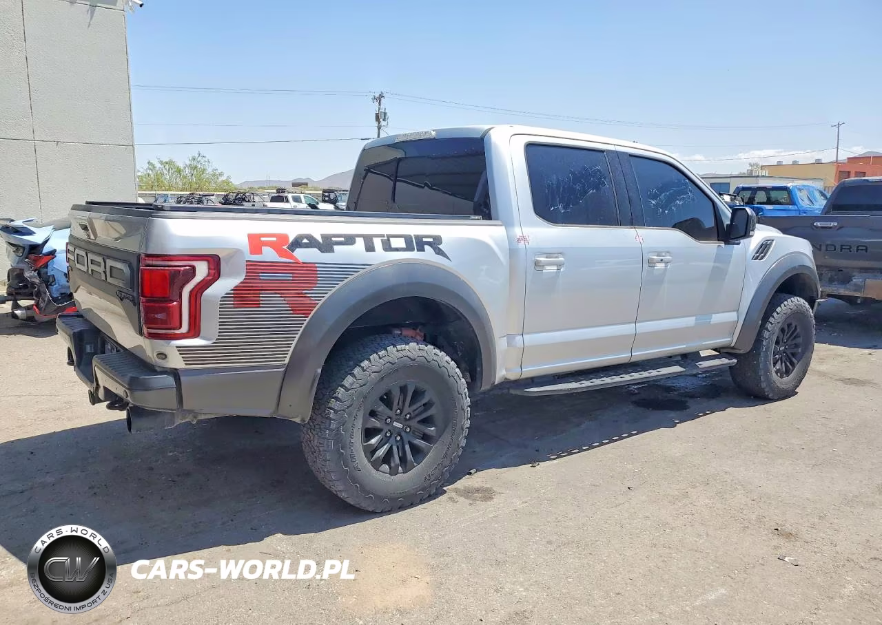 2019 Ford F150 Raptor VIN:1FTFW1RGXKFA80356 - 3