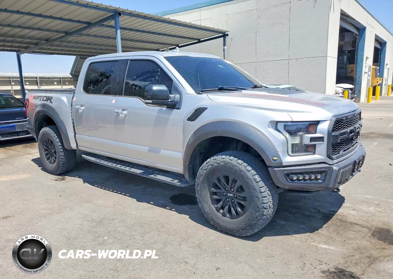 2019 Ford F150 Raptor VIN:1FTFW1RGXKFA80356 - 4
