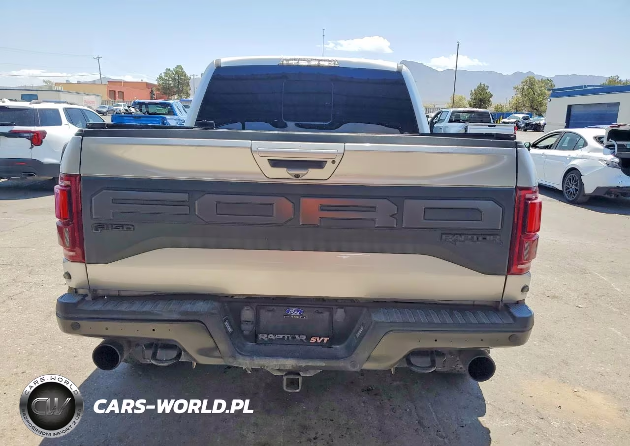 2019 Ford F150 Raptor VIN:1FTFW1RGXKFA80356 - 6