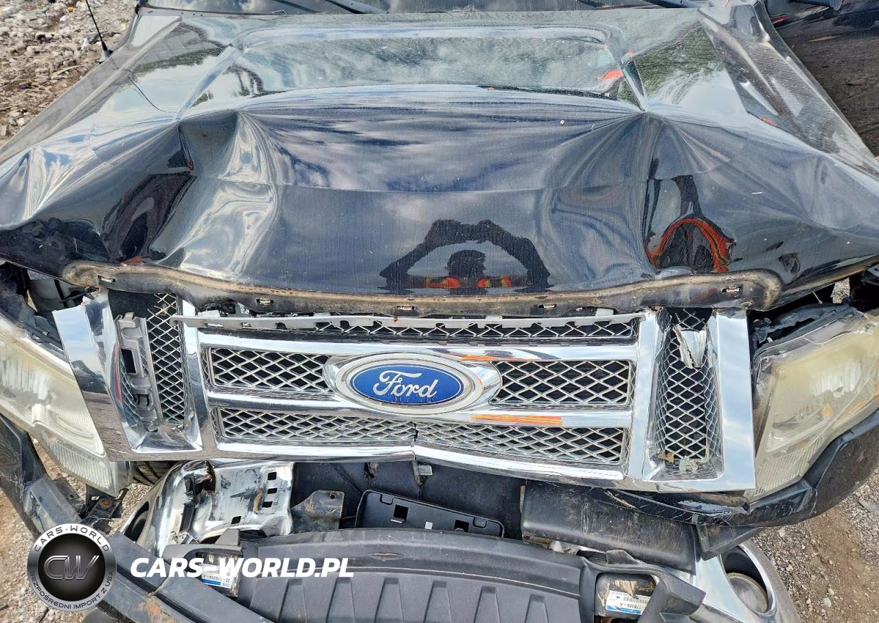 2010 Ford F150 Supercrew VIN:1FTFW1EV2AFD40431 - 11