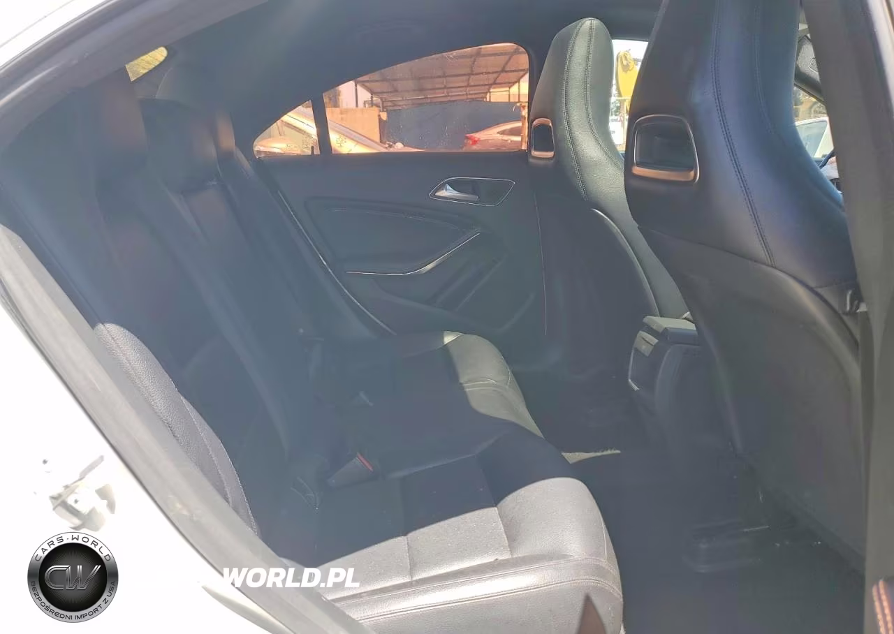 2014 Mercedes-Benz Cla 250 VIN:WDDSJ4EBXEN118144 - 10