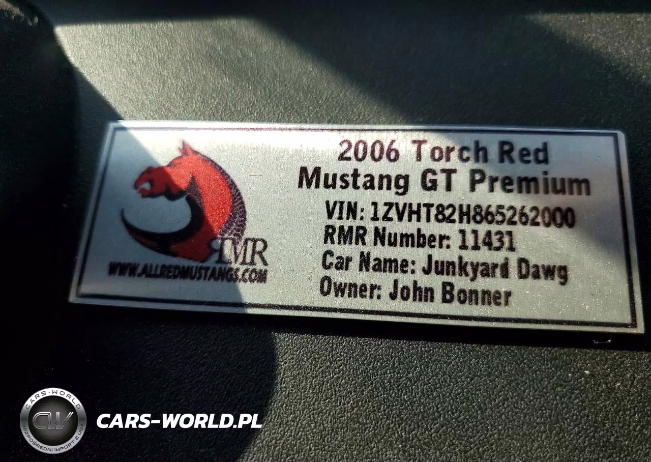 2006 Ford Mustang Gt VIN:1ZVHT82H865262000 - 12