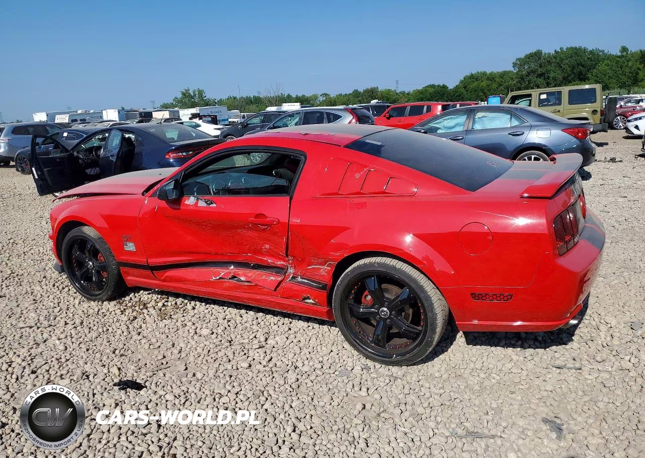2006 Ford Mustang Gt VIN:1ZVHT82H865262000 - 2