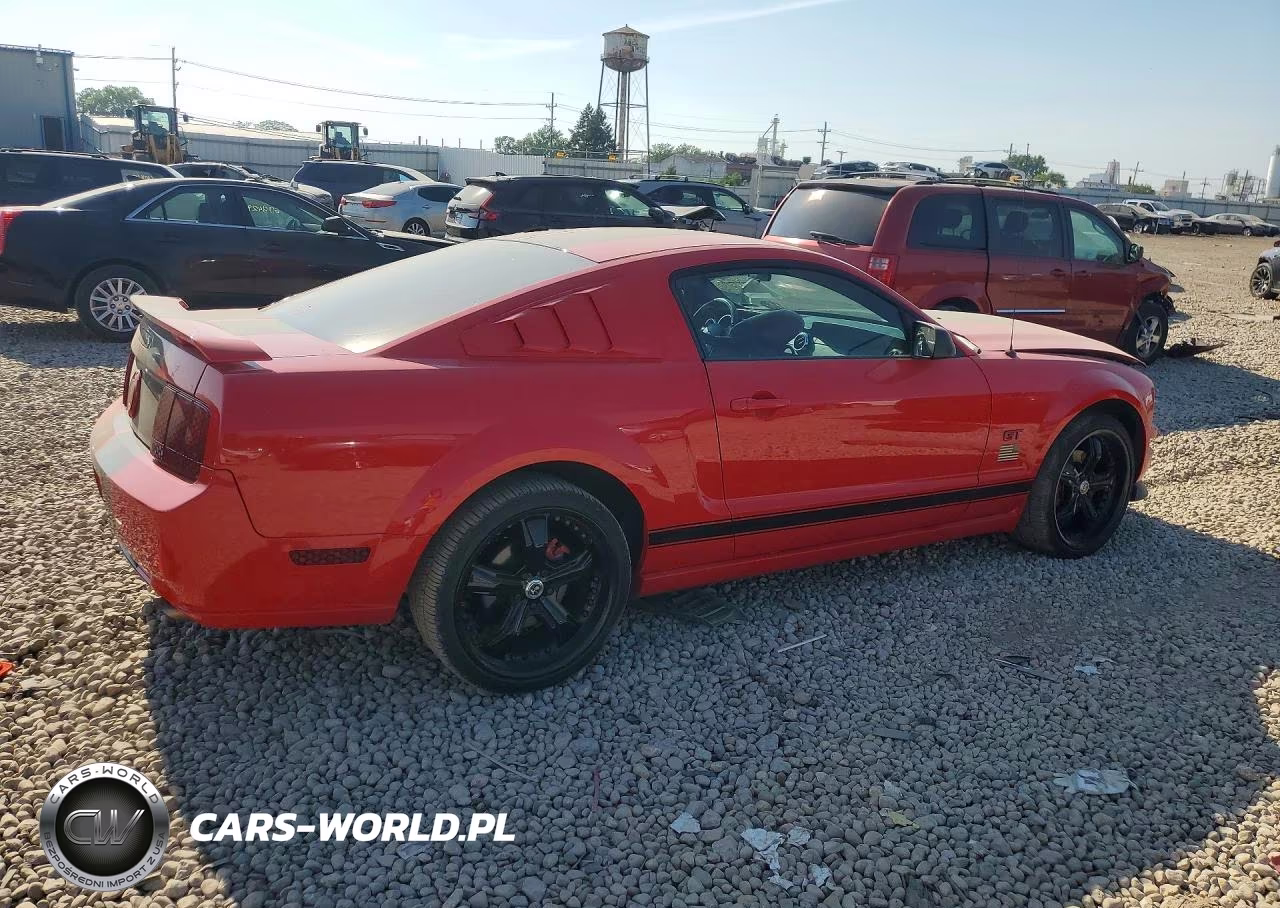 2006 Ford Mustang Gt VIN:1ZVHT82H865262000 - 3