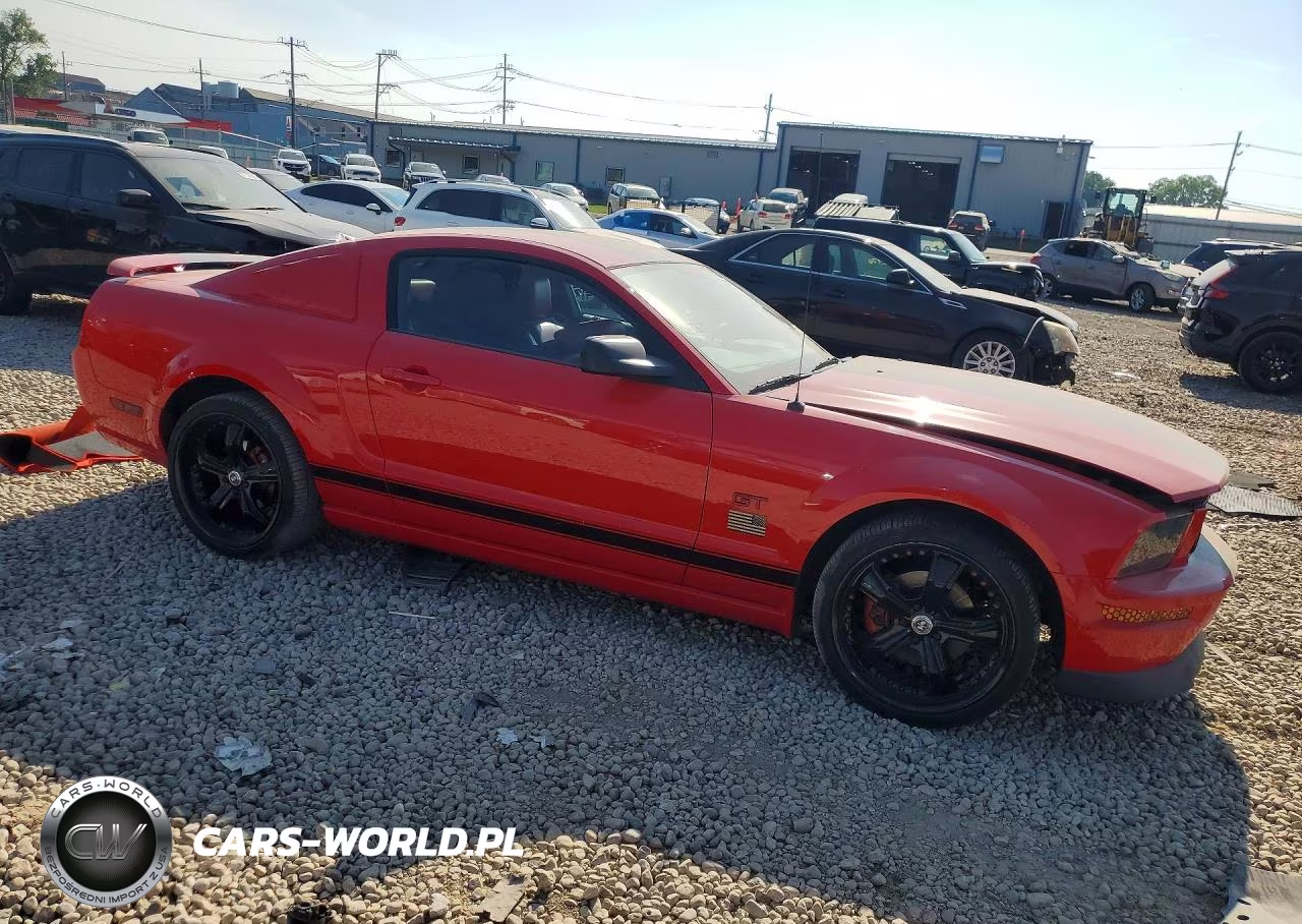 2006 Ford Mustang Gt VIN:1ZVHT82H865262000 - 4