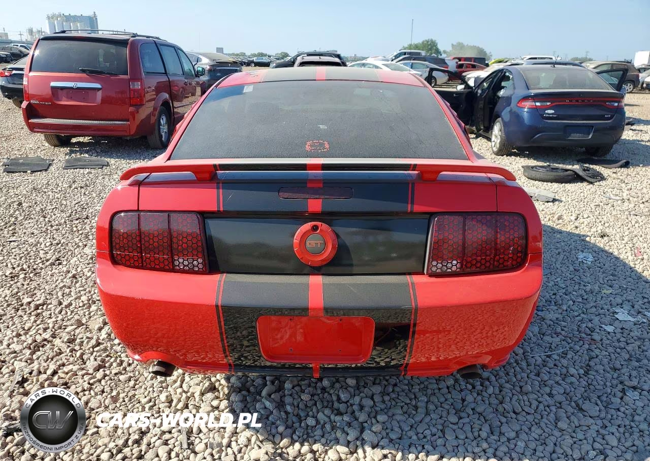 2006 Ford Mustang Gt VIN:1ZVHT82H865262000 - 6