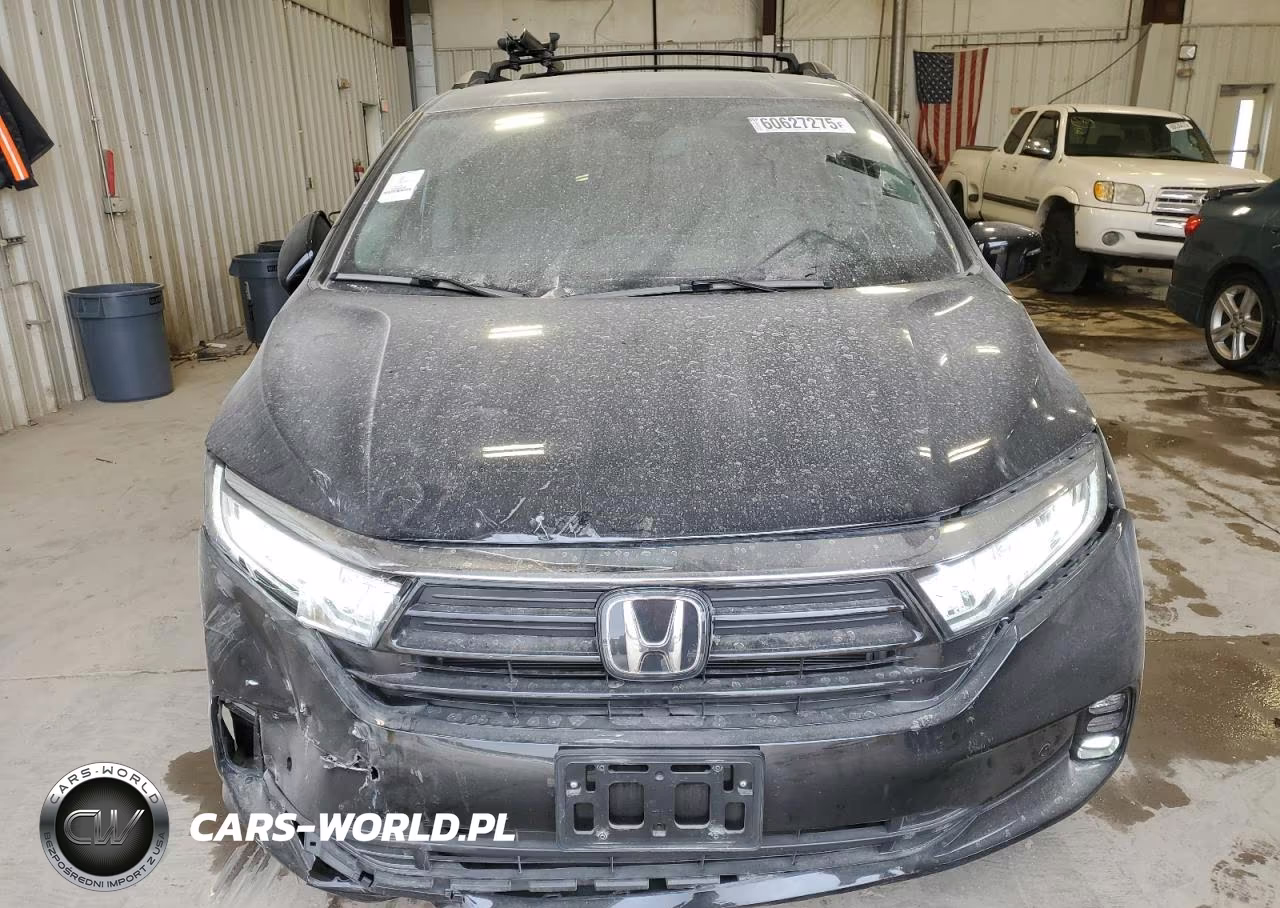 2023 Honda Odyssey Elite VIN:5FNRL6H97PB025638 - 5