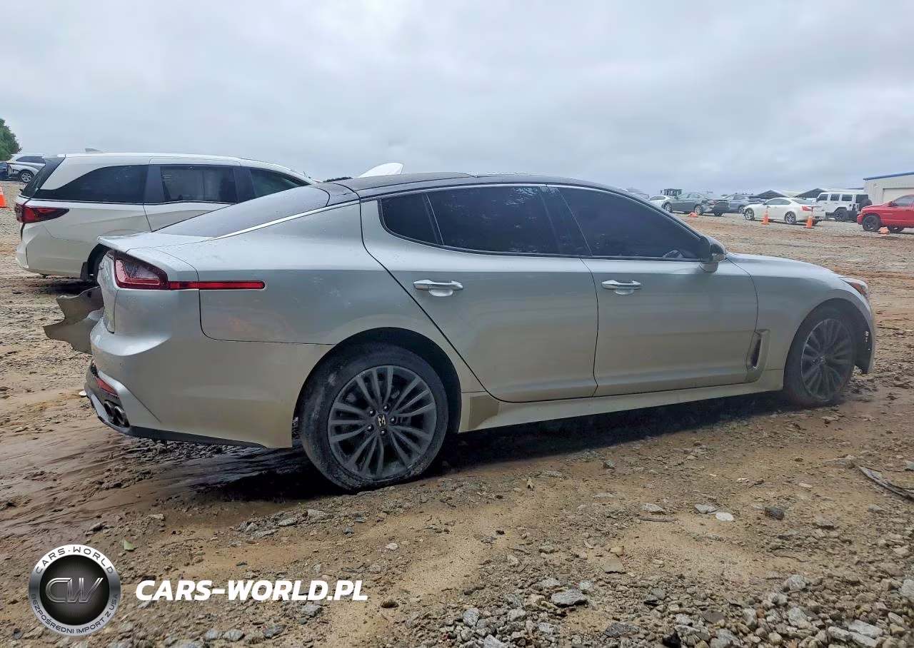 2018 Kia Stinger VIN:KNAE25LA2J6017489 - 3