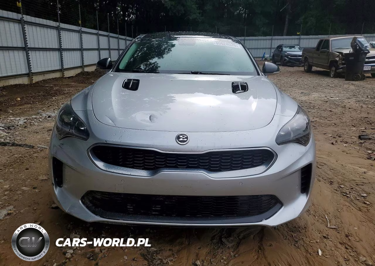 2018 Kia Stinger VIN:KNAE25LA2J6017489 - 5