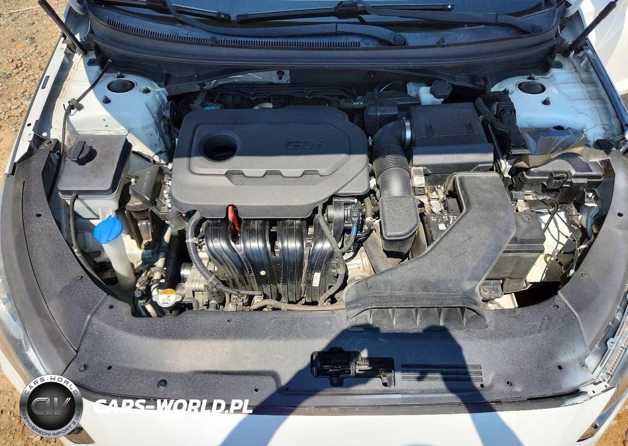 2019 Hyundai Sonata Se VIN:5NPE24AF8KH738774 - 11