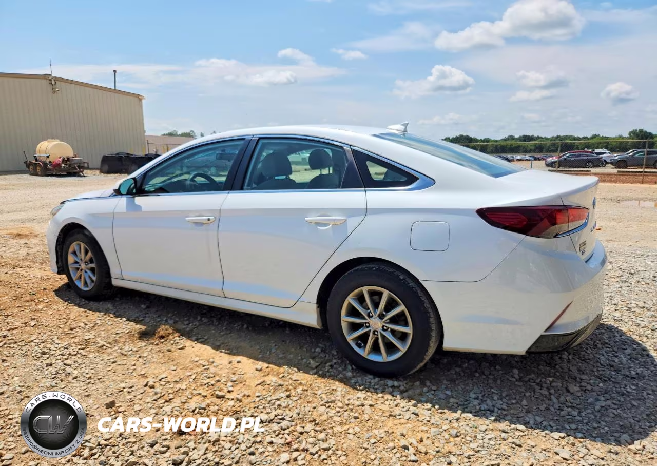 2019 Hyundai Sonata Se VIN:5NPE24AF8KH738774 - 2