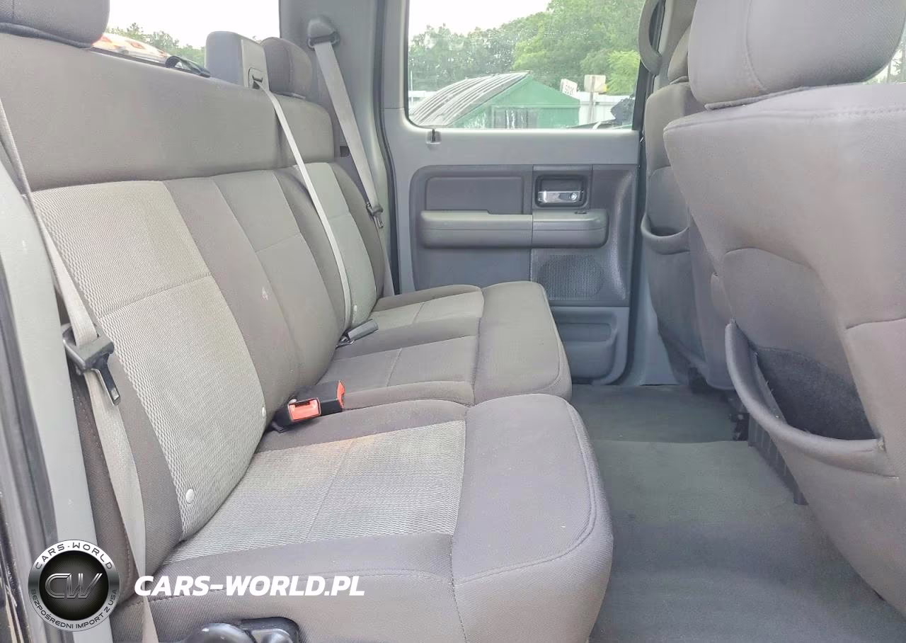 2006 Ford F150 Supercrew VIN:1FTRW14W56FB46586 - 10