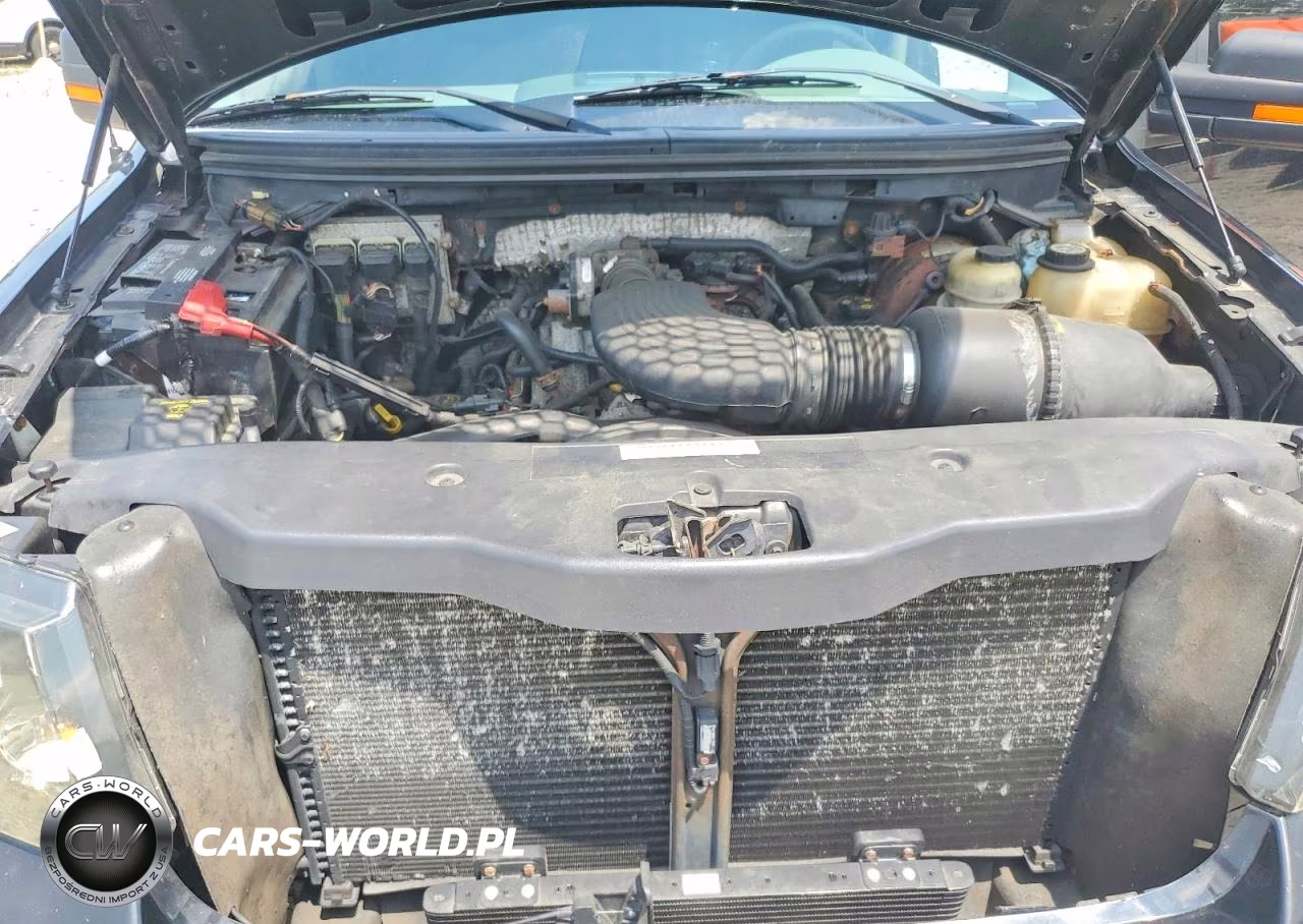 2006 Ford F150 Supercrew VIN:1FTRW14W56FB46586 - 11