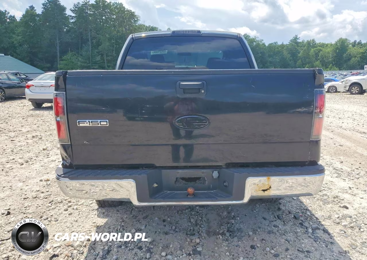 2006 Ford F150 Supercrew VIN:1FTRW14W56FB46586 - 6