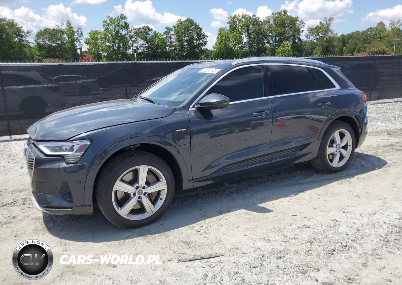 2019 Audi E-Tron Premium Plus