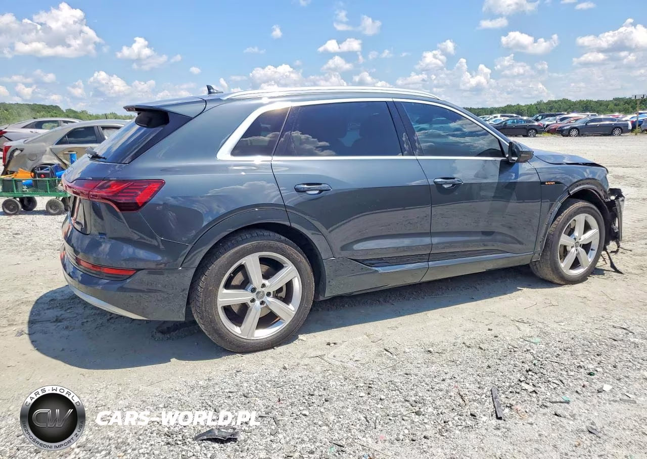 2019 Audi E-Tron Premium Plus VIN:WA1LAAGE7KB024783 - 3