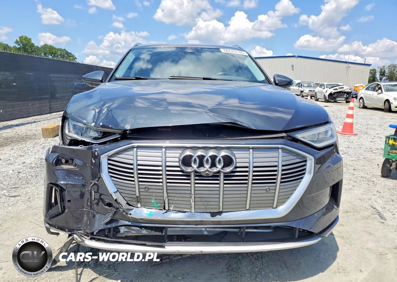 2019 Audi E-Tron Premium Plus VIN:WA1LAAGE7KB024783 - 5
