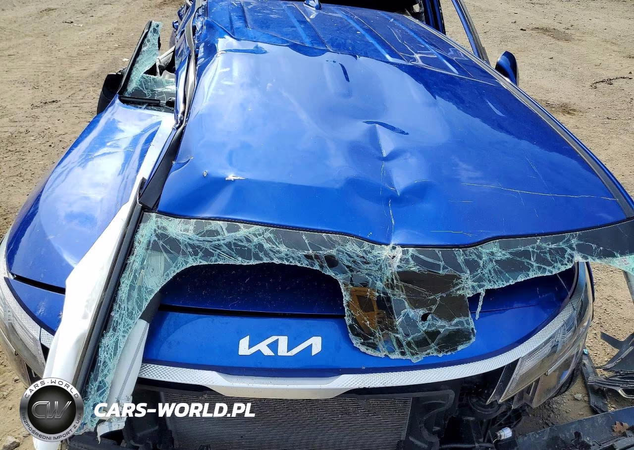 2023 Kia Seltos Lx VIN:KNDEPCAA6P7460985 - 12