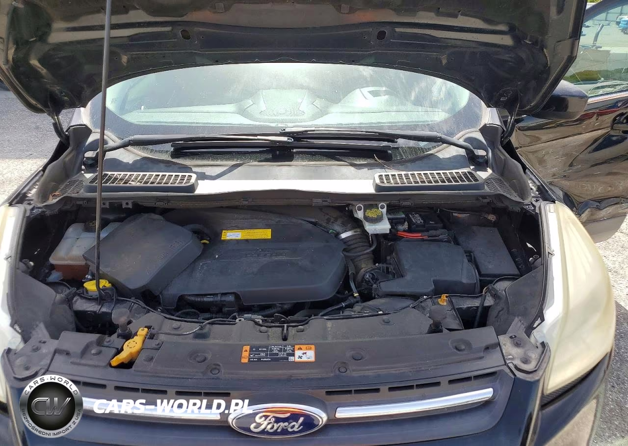 2016 Ford Escape Se VIN:1FMCU0GX5GUC20236 - 12