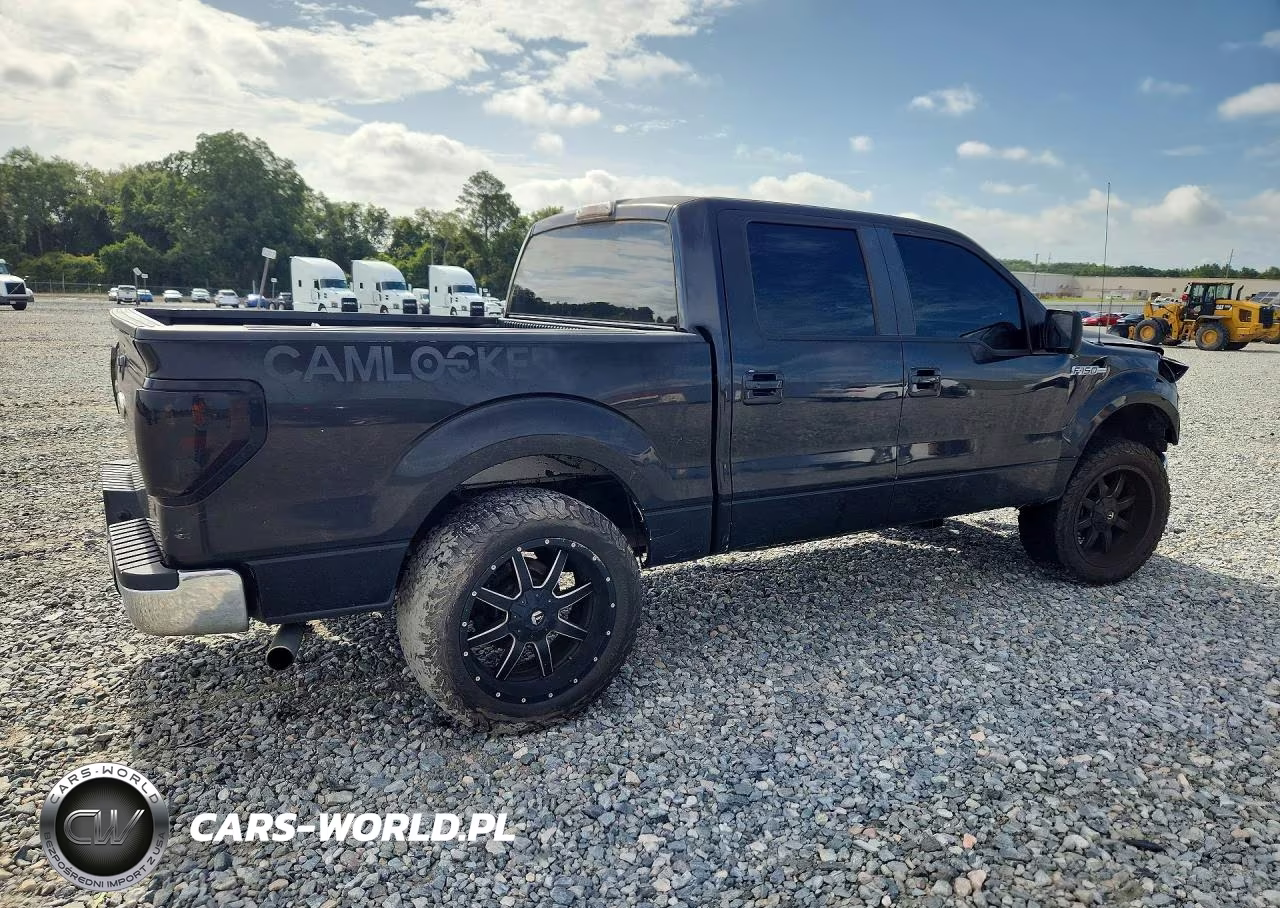 2009 Ford F150 Supercrew VIN:1FTRW12849FA92903 - 3