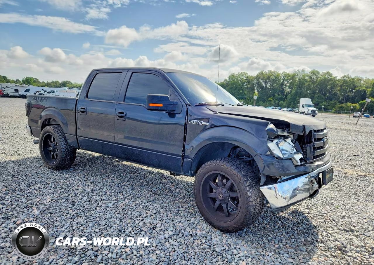 2009 Ford F150 Supercrew VIN:1FTRW12849FA92903 - 4
