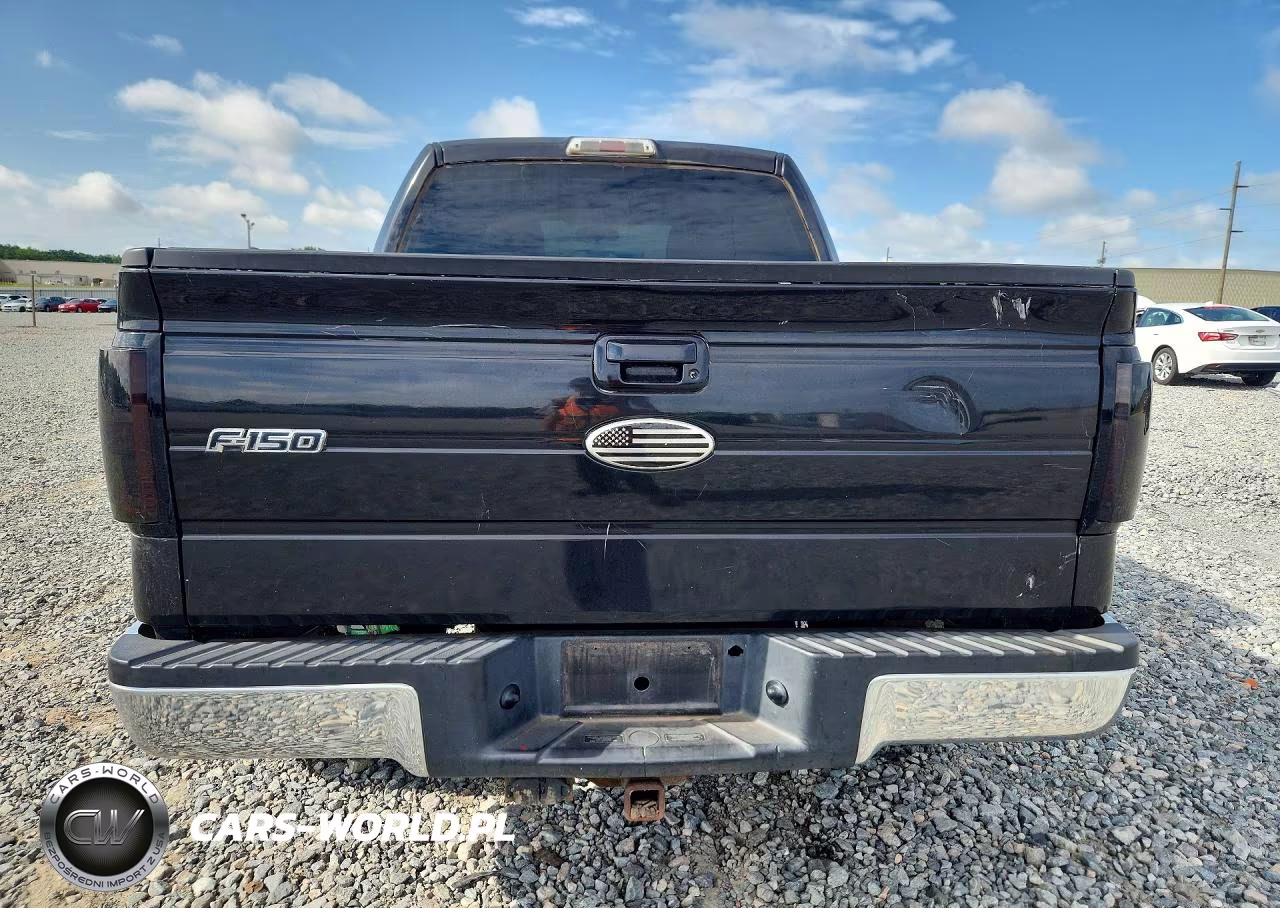 2009 Ford F150 Supercrew VIN:1FTRW12849FA92903 - 6