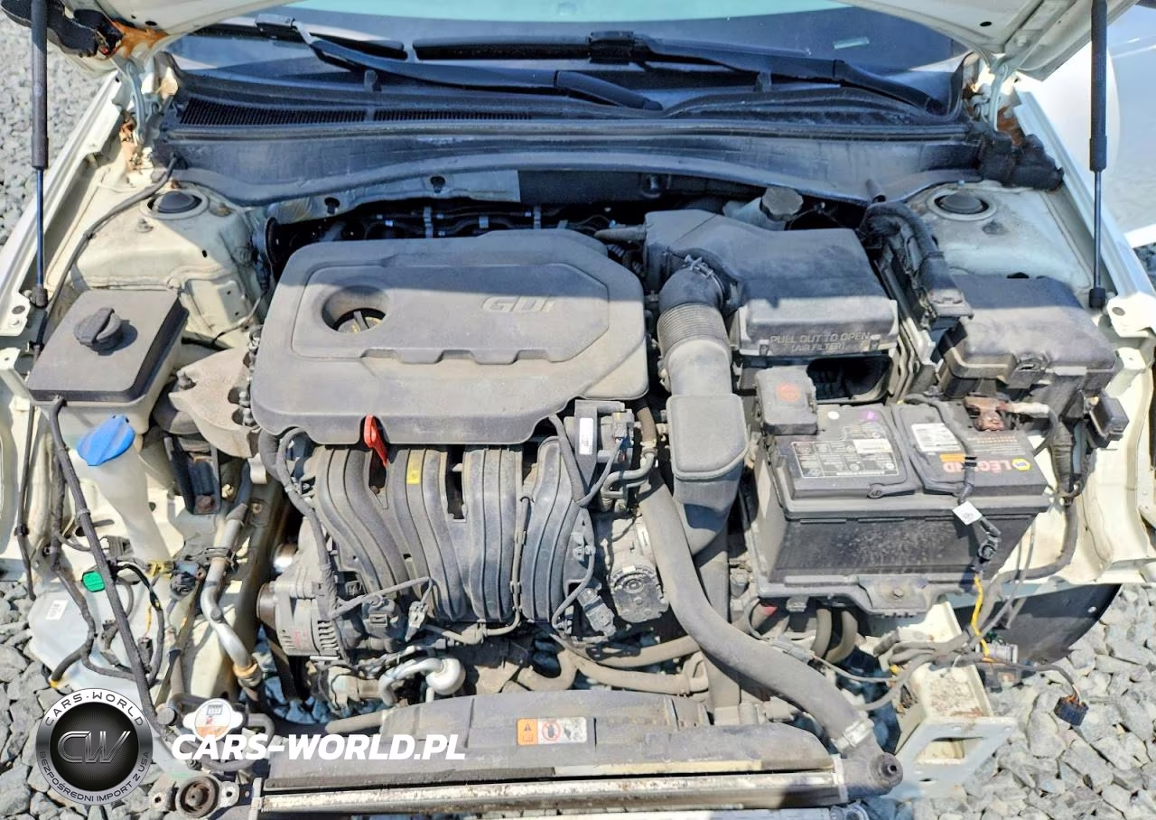 2016 Kia Optima Lx VIN:KNAGT4L31G5106924 - 11