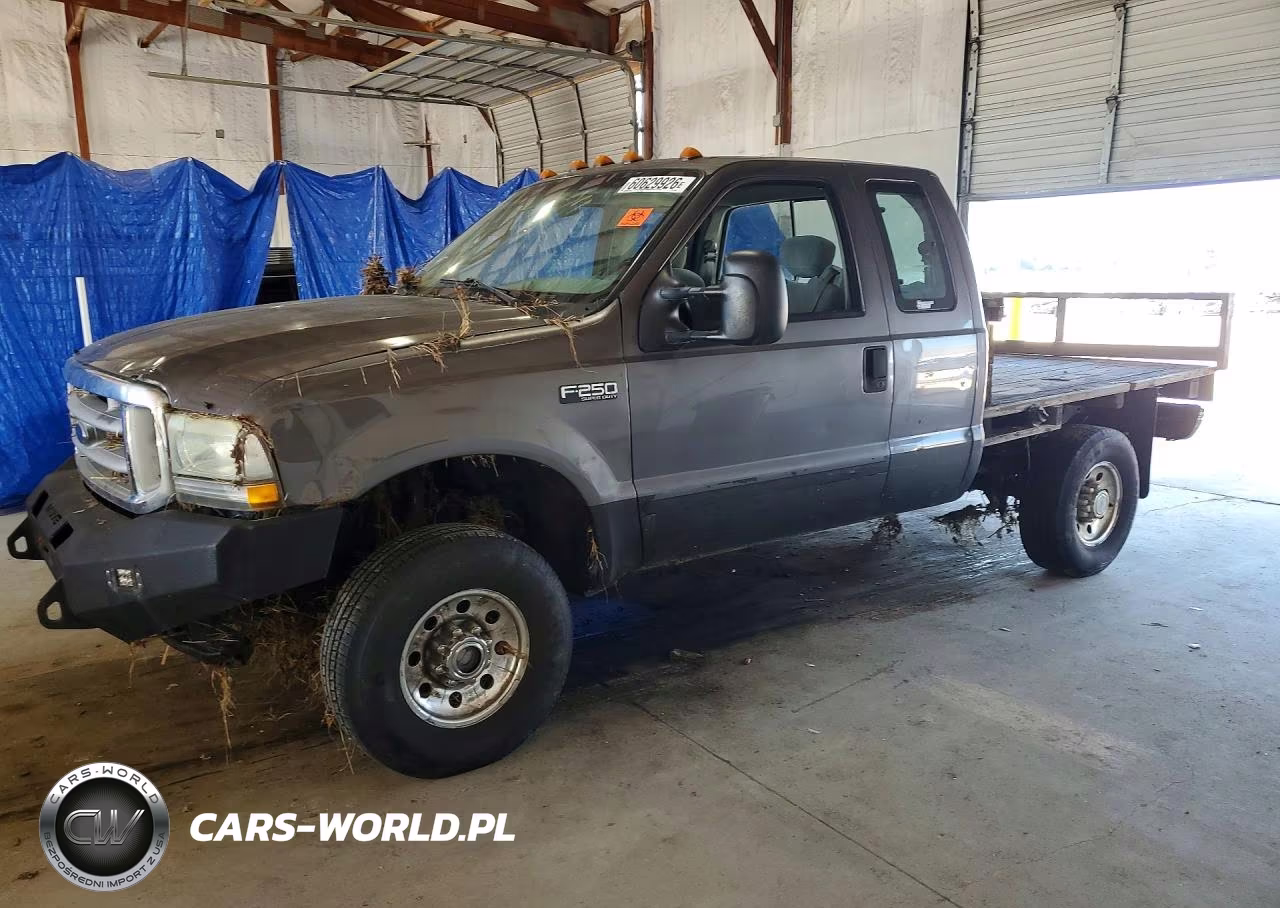 2003 Ford F250 Super Duty VIN:1FTNX21L83ED87667 - 1
