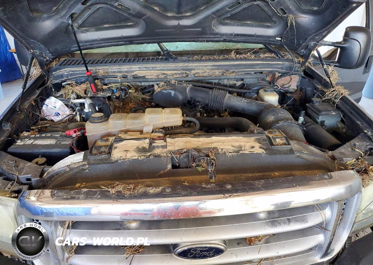 2003 Ford F250 Super Duty VIN:1FTNX21L83ED87667 - 11
