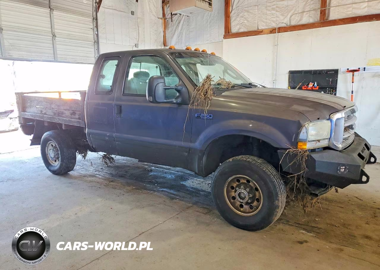 2003 Ford F250 Super Duty VIN:1FTNX21L83ED87667 - 4