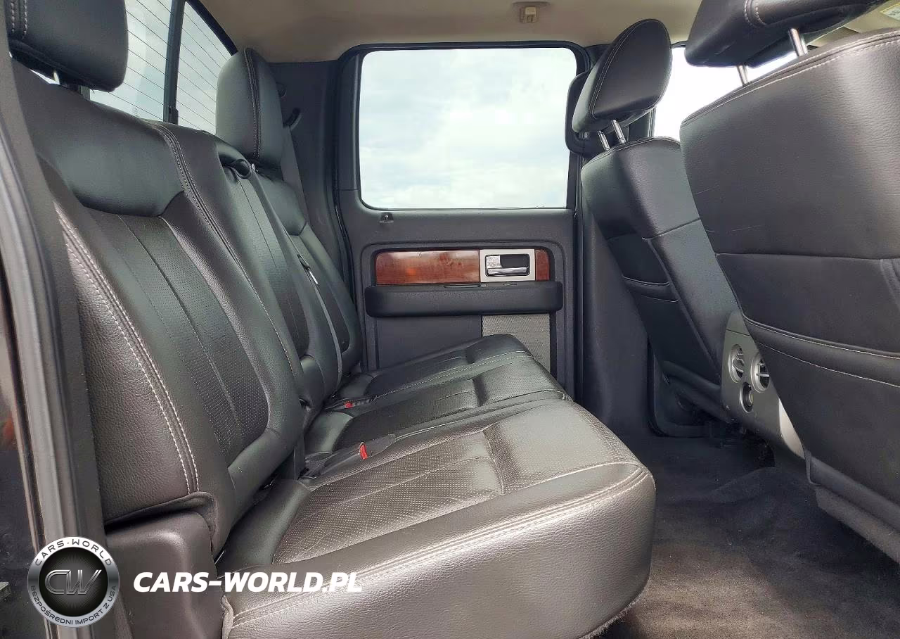 2010 Ford F150 Supercrew VIN:1FTFW1EV4AFA67668 - 10